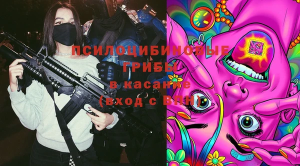 сатива Белокуриха
