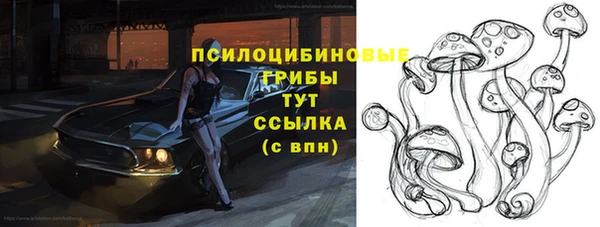 сатива Белокуриха