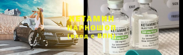 сатива Белокуриха