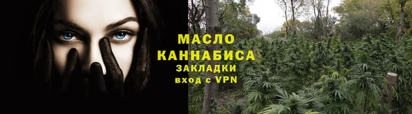 гидра Богданович