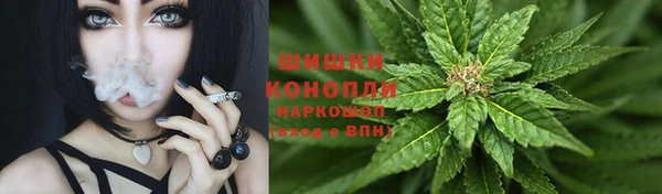крисы Беломорск