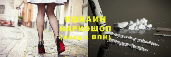 сатива Белокуриха
