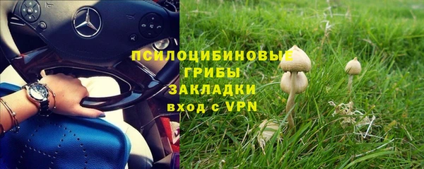 стаф Михайловка