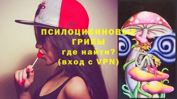 гидра Богданович