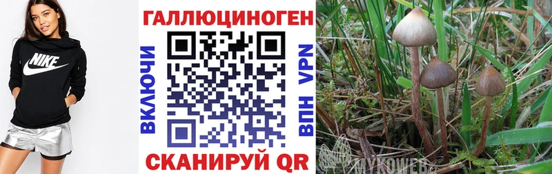 продажа наркотиков  Белоярский  Псилоцибиновые грибы GOLDEN TEACHER 